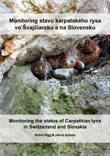 Monitoring_Lynx-lynx-carpathicus