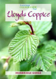 Lloyds Coppice, Ironbridge Gorge - Severn Gorge Countryside Trust