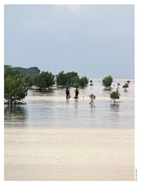 Climate Change Vulnerability Assessment and Adaptation Planning ...