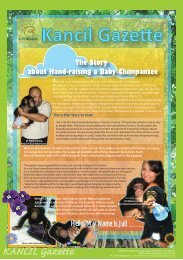 The Story About Hand-raising A Baby Chimpanzee - Zoo Negara