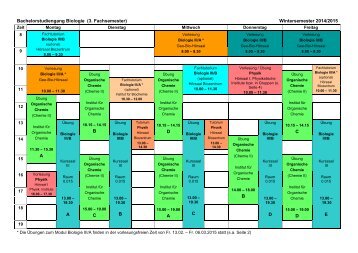 Wochenplan 3. Semester BSc