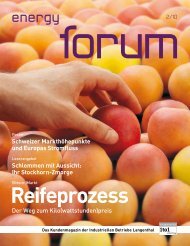 Download PDF energy forum - Industrielle Betriebe Langenthal