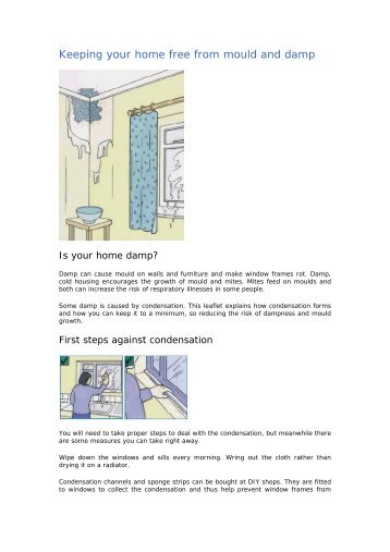 Keeping your home free from mould and damp - Wiltshire Council