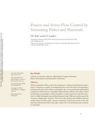 passive and active flow control by swimming fishes and mammals