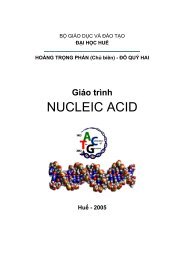 Giao trinh Acidnucleic.pdf - DSpace