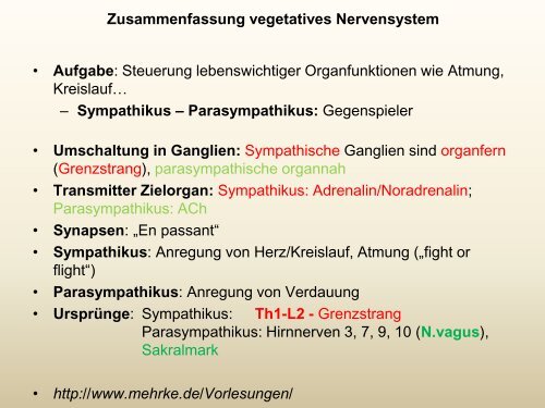 (vegetative) Nervensystem