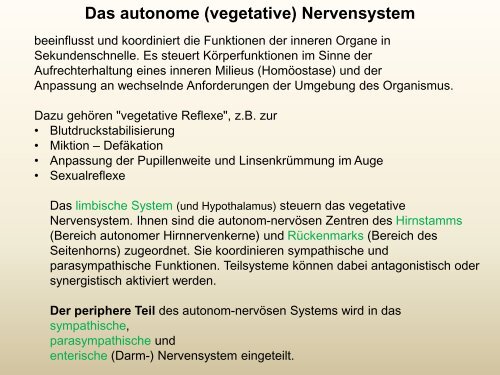 (vegetative) Nervensystem