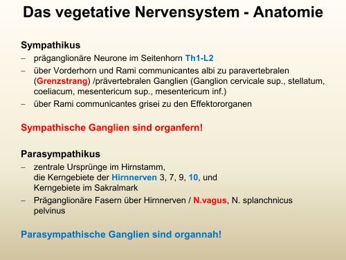 (vegetative) Nervensystem
