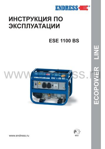 ESE 1100 BS - Endress