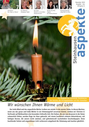 Ausgabe 12/2010 (Grösse 2.9 MB) - Aspekte Steinhausen