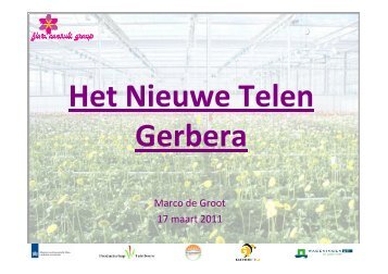 Ervaringen met Het Nieuwe Telen bij gerbera - Wageningen UR