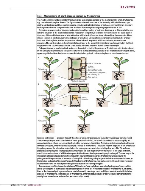 trichoderma species - Weizmann Institute of Science