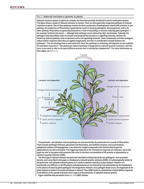 trichoderma species - Weizmann Institute of Science