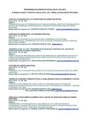 programas de servicio social - CIDI - UNAM