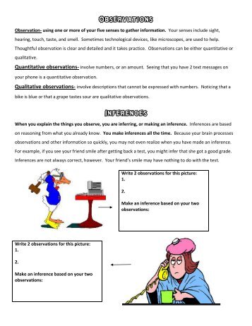 Observations Inferences - Beachwood City Schools