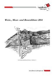 und Besenführer 2014 - WTG Rottenburg am Neckar mbH