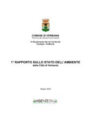 Rapporto sullo Stato dell'Ambiente - Comune di Verbania