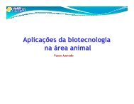 Aplicações da biotecnologia na área animal - CIB