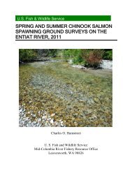Spring and summer Chinook salmon spawning ground surveys on ...
