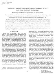 Ghanim et al 1998 - Virology .pdf