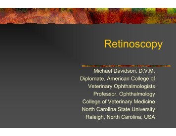 Retinoscopy - North Carolina State University College of Veterinary ...