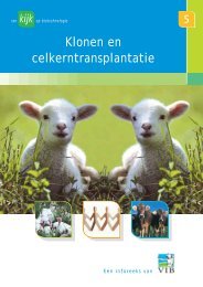 Klonen en celkerntransplantatie (pdf - 0,9MB) - VIB