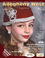 November 2008 - Allegheny West Magazine