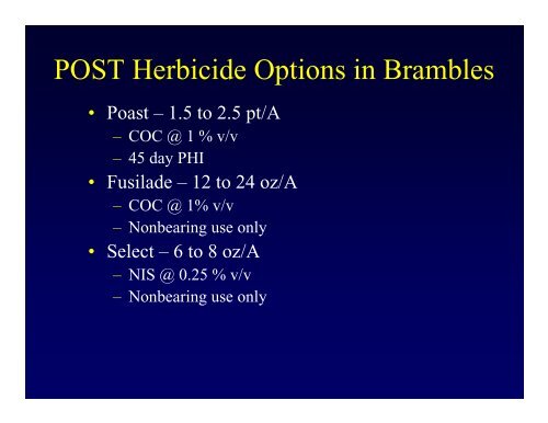 Weed Control in Brambles