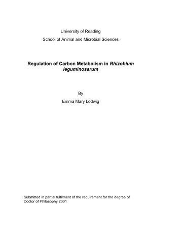 Regulation of Carbon Metabolism in Rhizobium leguminosarum