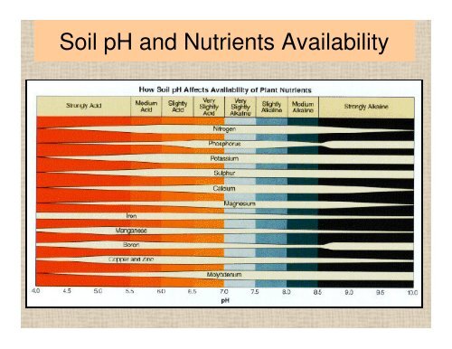 Soil - Sarasota County Extension