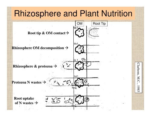 Soil - Sarasota County Extension