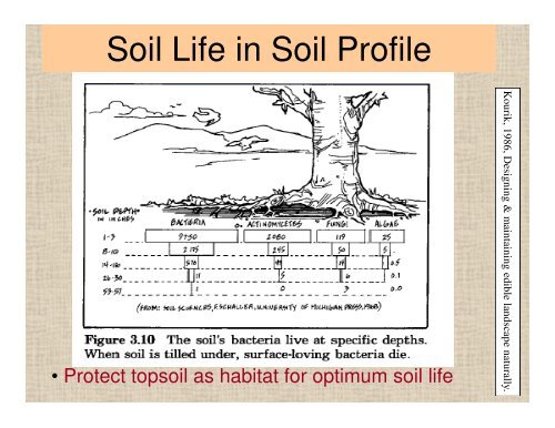 Soil - Sarasota County Extension