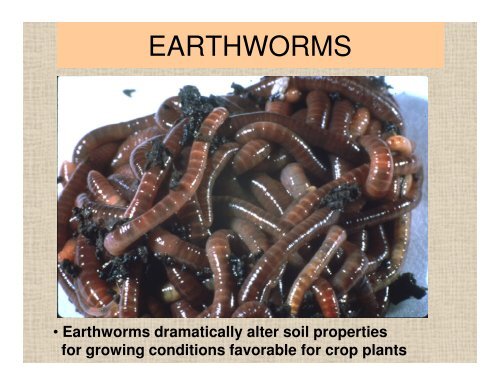 Soil - Sarasota County Extension