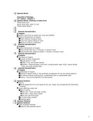 Igneous Rocks Essentials of Geology, 11th edition - Chapter 3 ...