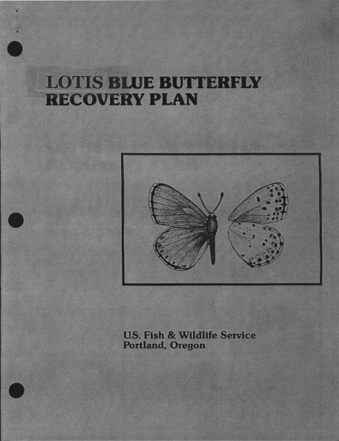 Lotis Blue Butterfly Recovery Plan - U.S. Fish and Wildlife Service
