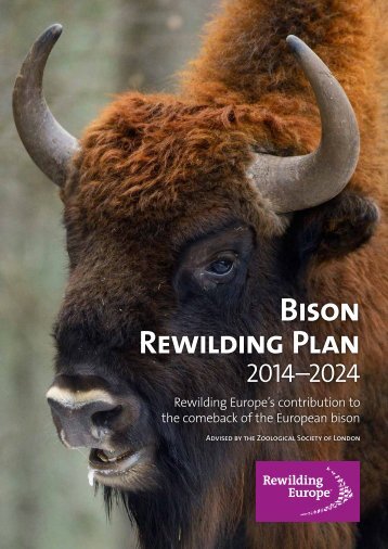 Bison-Rewilding-Plan-2014