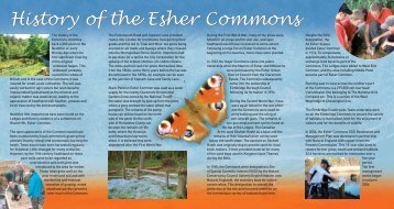 Esher Commons Brochure February 2007.pdf - Elmbridge Borough ...