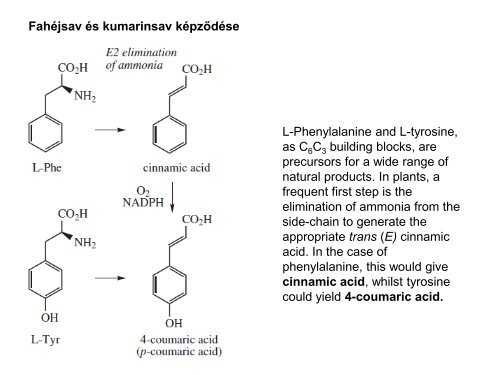 Fenilpropanoidok - Szerves Kémiai Tanszék