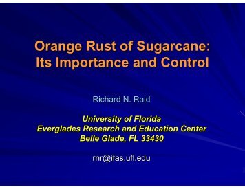 Orange Rust of Sugarcane: Its Importance and Control - CEDAF