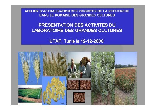 presentation des activites du laboratoire des grandes cultures - Iresa