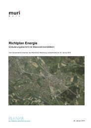 Richtplan Energie - Muri bei Bern
