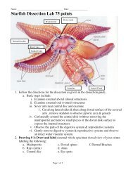 Starfish Dissection Lab 75 points