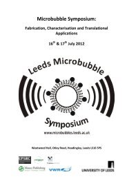 Microbubble Symposium: Fabrication, Characterisation and ...