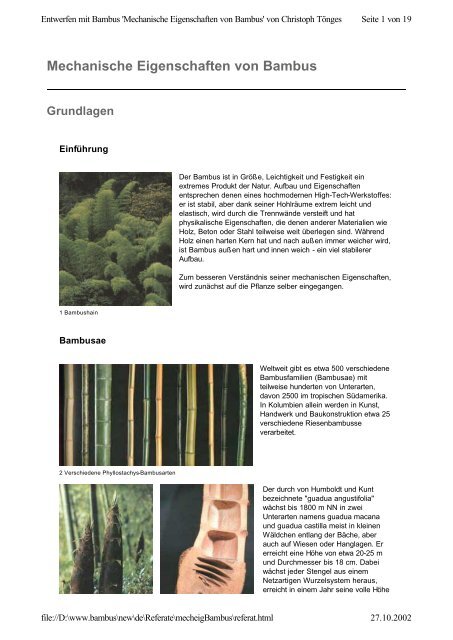 bambus für immer loswerden Wuchernder Bambus Goldrohrbambus kaufen | Phyllostachys aurea -  Goldrohrbambus main image 1