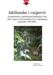 Jakthundar i vargrevir