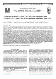 Epigene and Hypogene Gypsum Karst Manifestations of the Castile ...