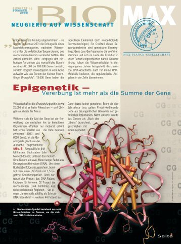 Epigenetik – - Max Wissen