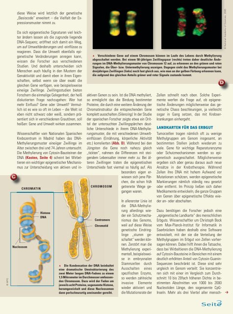 Epigenetik – - Max Wissen