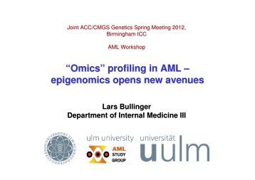 â€œOmicsâ€ profiling in AML â€“ epigenomics opens new avenues