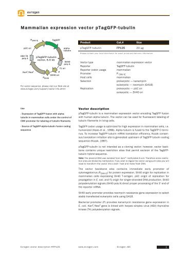 Data Sheet - Evrogen